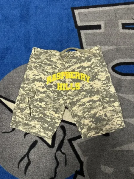 Gv Gallery Raspberry Digi Camo Shorts